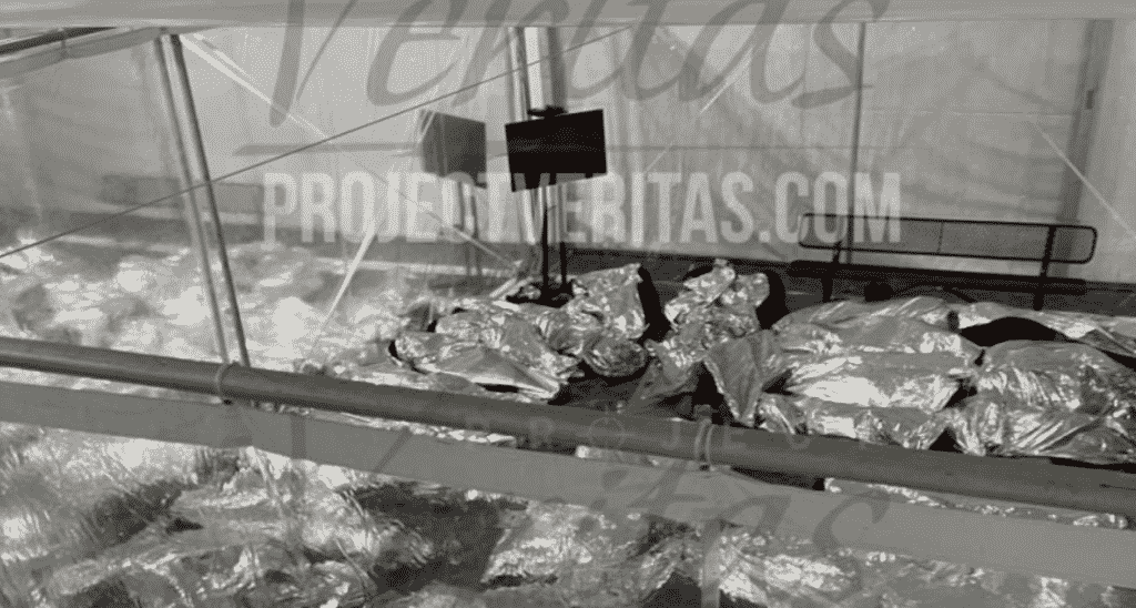 Border Crisis